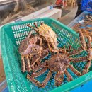 기장대게 | [부산 기장 대게] 싱싱한 대게와 랍스터가 최고인 ‘대게하우스’ 기장본점 소개