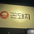꼰돼지