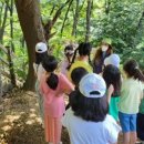 더불어숲생태학교 이미지