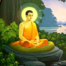 중1-112 Daum카페