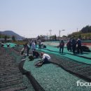 금일읍-5 이미지