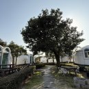 표선면 표선리 600-8 | 제주 표선면 숙박업 허가 리조트 매매｜수익성·희소성·제2공항 수혜까지 갖춘 투자형 감성 리조트