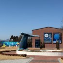 별주부전테마파크 | 경북 예천 아이와 가볼만한곳 용궁역테마공원 별주부전 오토마타 용궁역 기차시간표