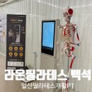 라온체형교정센터 이미지