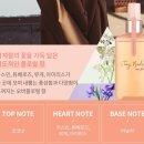홀릭영 이미지