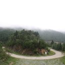 일편단심약국 이미지