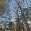 국사봉 지석묘군 이미지