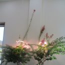 선월농장 이미지