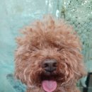 견생스타일 이미지