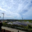 예원손세차 이미지