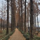 927회 토요걷기(12/6) 합정역~한강공원~하늘공원~매봉산길을 걸었습니다. 이미지