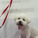 이뻐질개 이미지