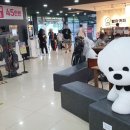 골프파크세차장 이미지