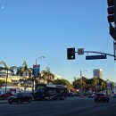 아시아나에어포트(주) 광주영업소 | 미국 여행준비&amp; 입국심사 후기, 미국 운전후기