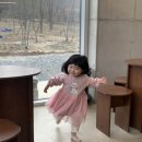 당당이 애견 이미지