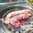 도니마니 이미지