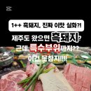 제주서귀돈 이미지