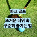 군산시니어클럽 웰빙카페 | 수도권 파크골프 모임 정리 - 걷고 웃고 즐기다 보면 체력도 생기는 운동