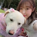 수빈 OSEN