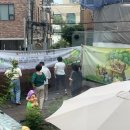 라인댄스2 이미지