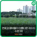 수완1제 이미지