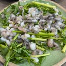 산낙지 삼계탕 | 영등포역 맛집 먹통낙지전문점 낙지탕탕이 산낙지전골 후기 및 몸보신 보양식 추천 이유