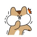 아이조아 본점 이미지
