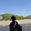 도난방지 백팩 평일 에버랜드 다녀온 후기! 수학여행 대폭탄(?) 맞고도 재밌었던 하루