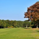 오라골프존 이미지