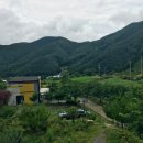 팬션 패트로누스 이미지