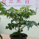 남구 다문화가족지원센터 이미지