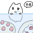 피카커피인더플레이스