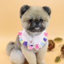 팡앤뭉치 이미지