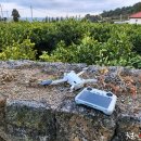 제주초가집 이미지