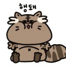 강호동치킨678 이미지