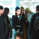 초록패션
