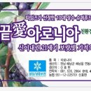땅끝아로니아