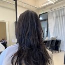 헤어셋틀러 이미지