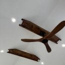 스테이라녹 이미지