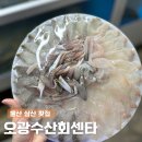 오광수산회센타 | 울산 횟집 추천 오광수산회센타, 가성비 가을 전어 세꼬시 후기