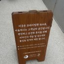 큰집 | [숙소]경주 &#39;스테이촌&#39; 큰집 후기 / 사우나+수영장이 있는 신상 독채 풀빌라