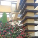 강아지 대공원 이미지