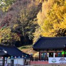 팔마_국궁장(환선정) 이미지