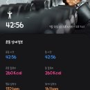 엔멀티댄스 이미지