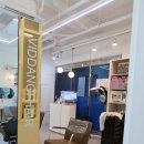 비땅기헤어 이미지