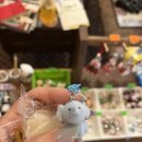 행복한세상의원 | [임신일기] 12~15주차 / 임신중기, 태몽, 태아성별, 일상, 이벤트발생, 입덧탈출, 하이베베