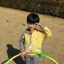 누렁이과수원 이미지