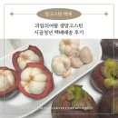 과일의여왕 생망고스틴 시골청년 택배배송 후기