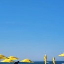 하조대해수욕장 화장실 2 이미지