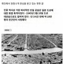 레딧에서 피코질하는 일본 이미지